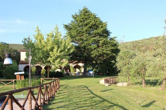 Agriturismo San Valentino アメリア エクステリア 写真